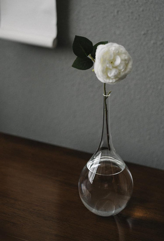 Japanese Style Cloud and Mist Glass Vase – Transparent Flower Arrangement & Water Planting Decor